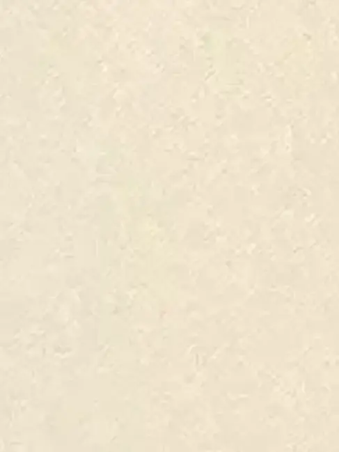 HarshPie8528의 진격거 하렘 (개인용)