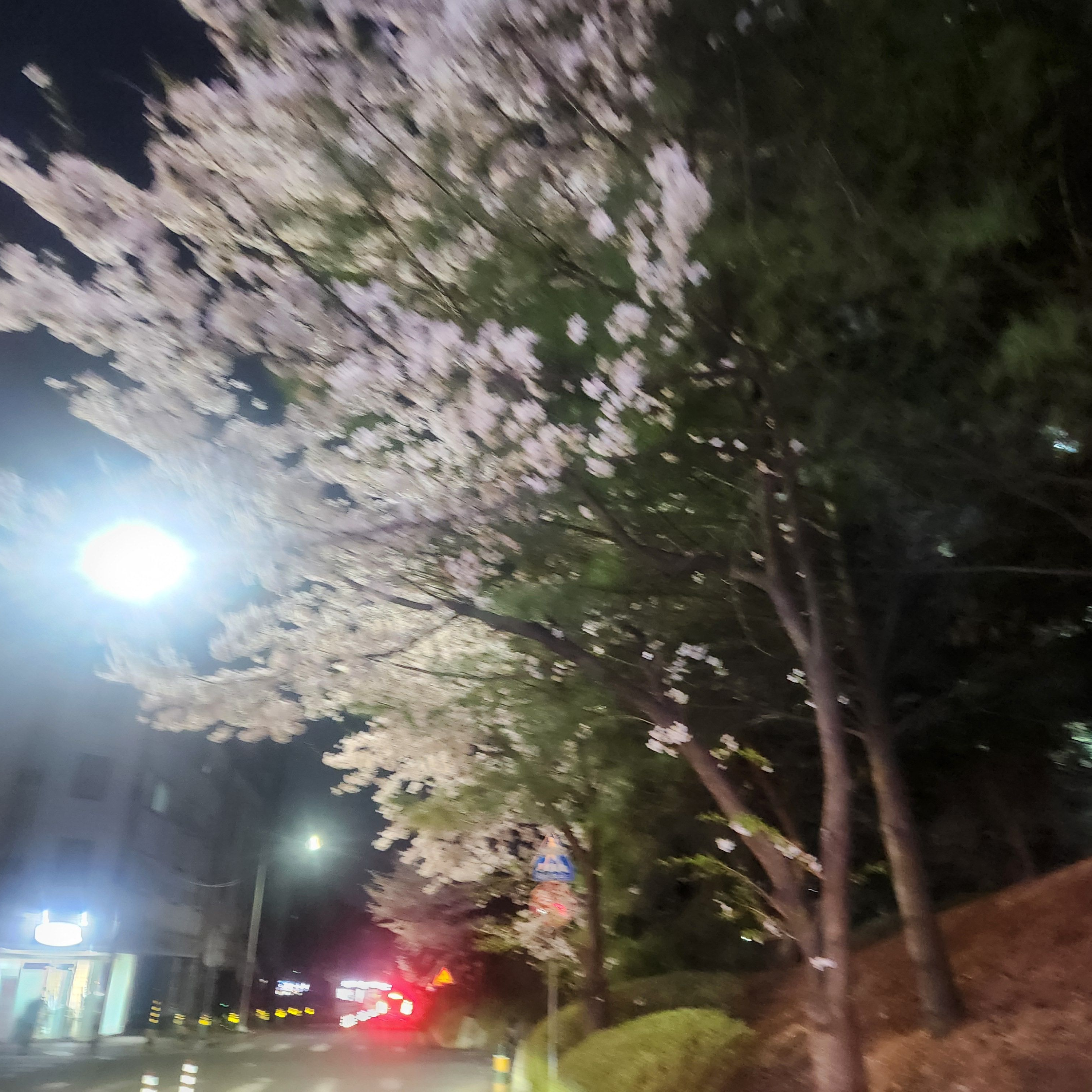 하루살이 조차 나를 비웃고 가네. 대표 이미지