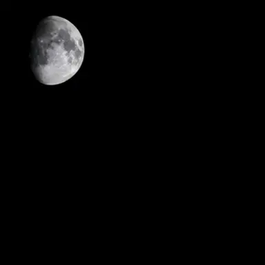 Profile image of 나이트