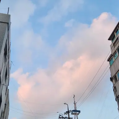 Profile image of 레이븐