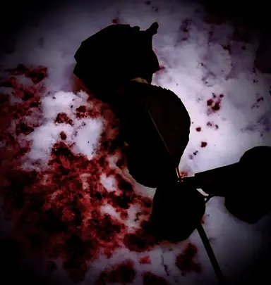 Profile image of 평학