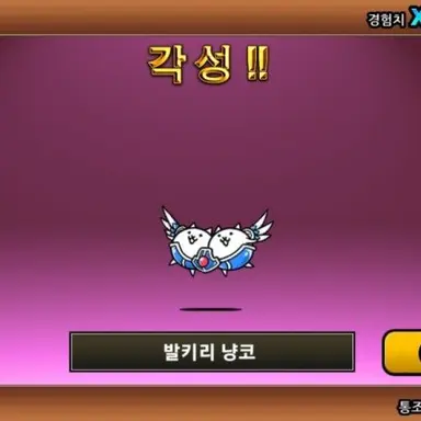 Profile image of 발키리 냥코