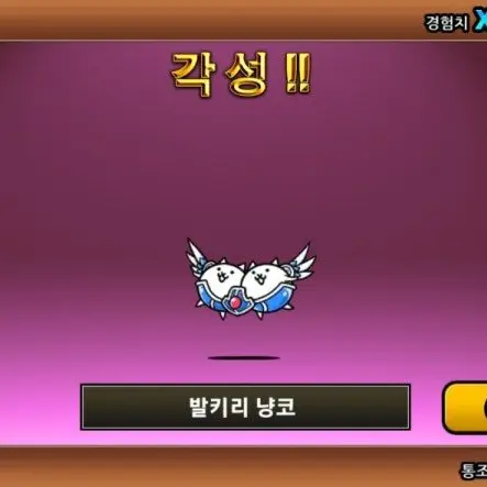 ChubbyCost7108의 냥코대전쟁 EX캐릭터들과 동거!