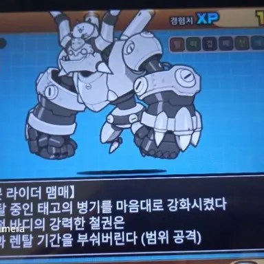 Profile image of 라이더 맴매