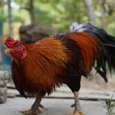 Profile image of 토탈