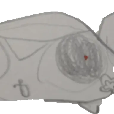 Profile image of ペブル