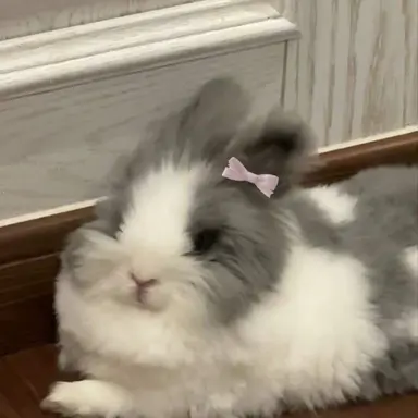 Profile image of 토토