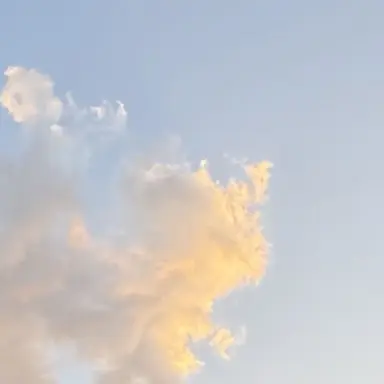 Profile image of user