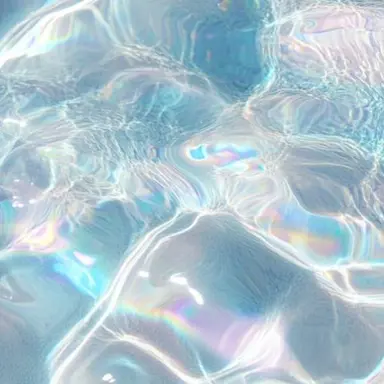 Profile image of 太智