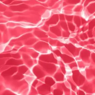 Profile image of 舜太