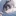 るうま