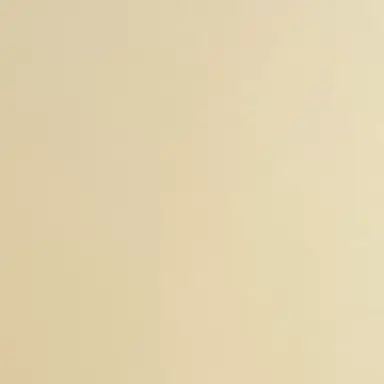 Profile image of ちー