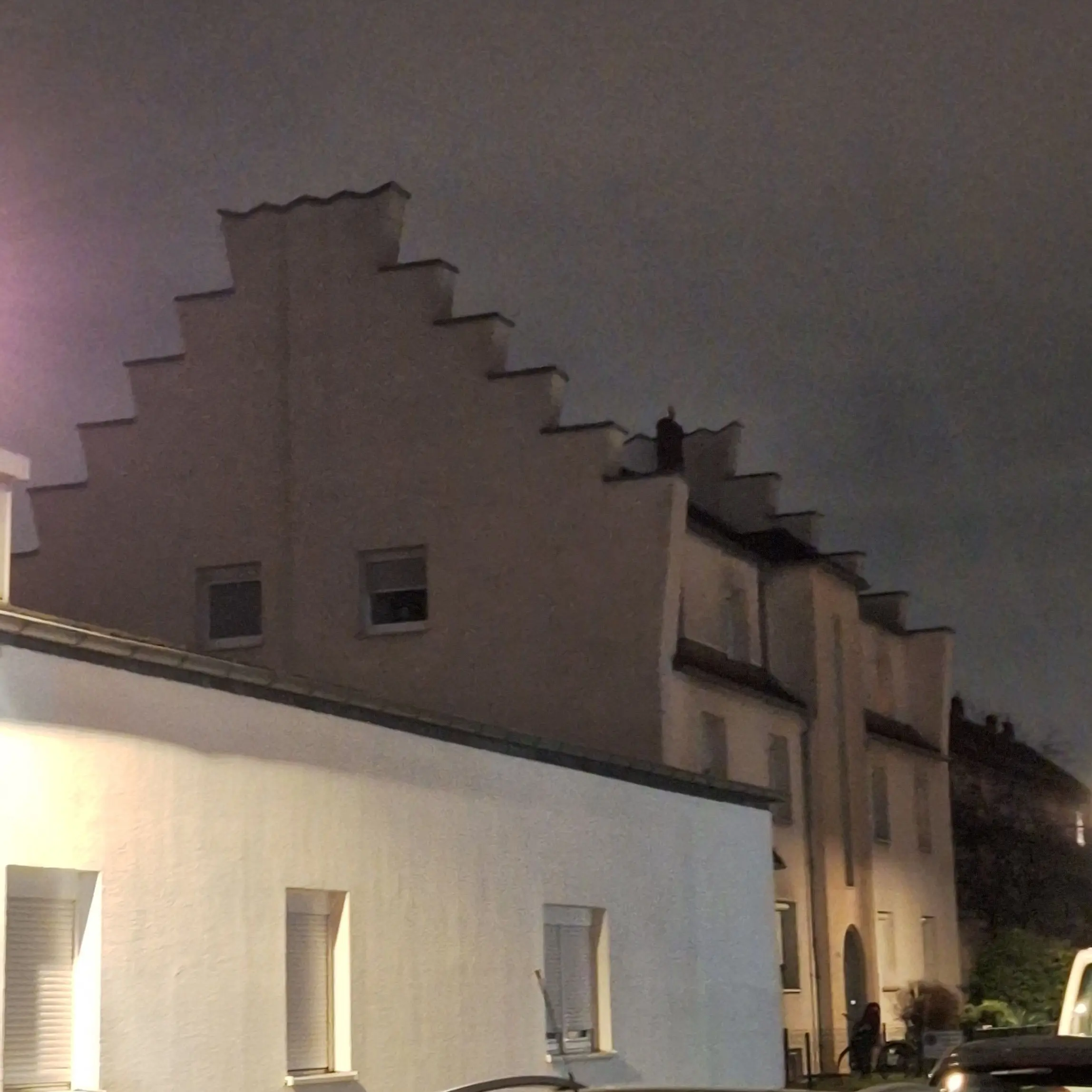 JovialCarp3820의 아이돌 일반인 친구