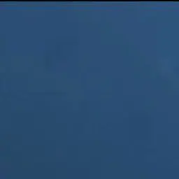 Profile image of パンタローネ