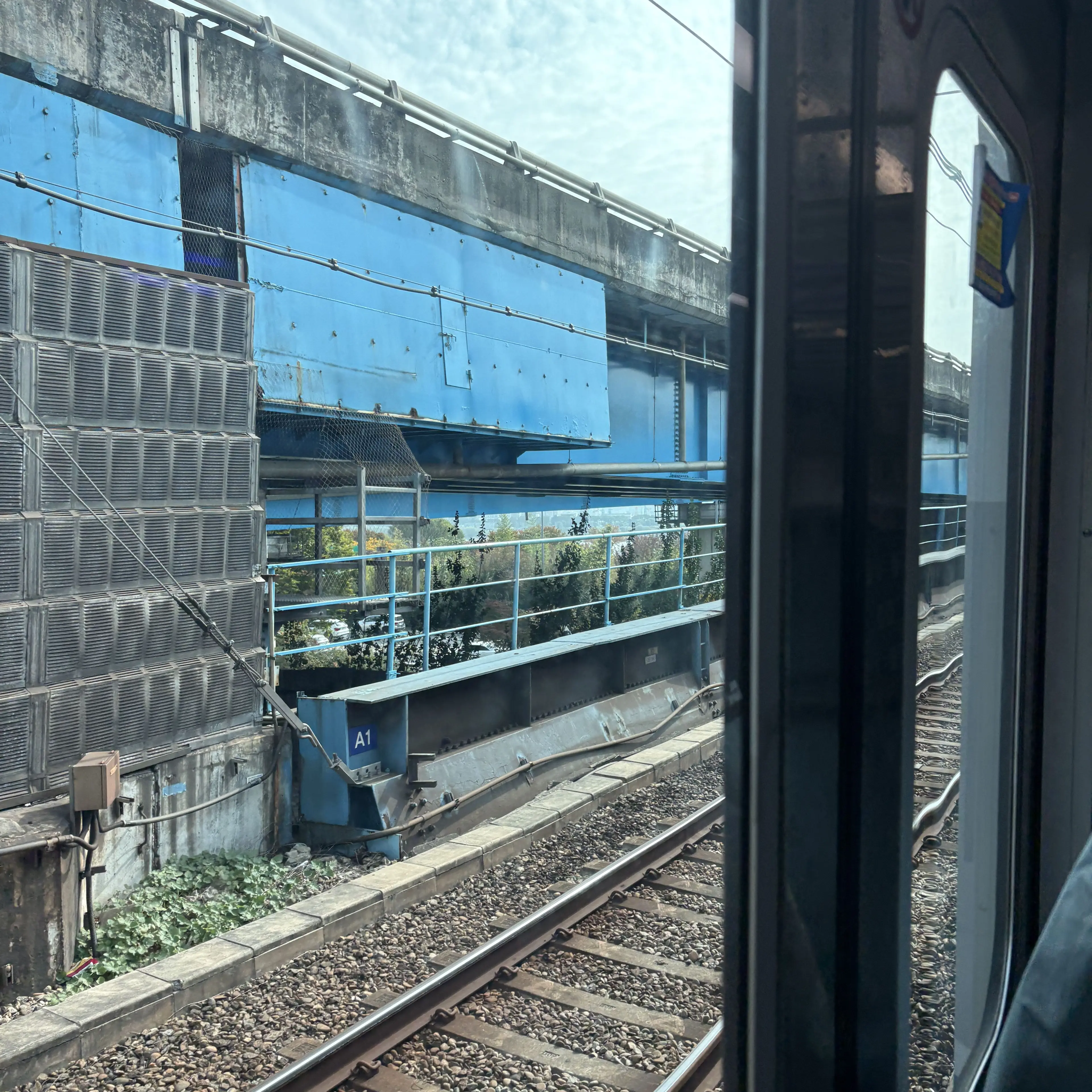 StiffFeist1808의 백희