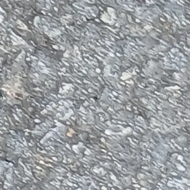 Profile image of 유기사