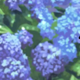 Profile image of Yeti