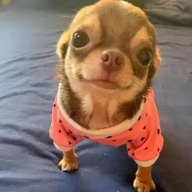 Profile image of 봉이