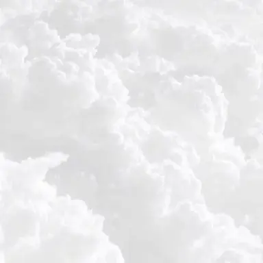 Profile image of ありさ