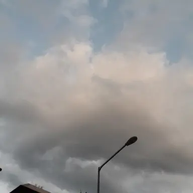 Profile image of 여우