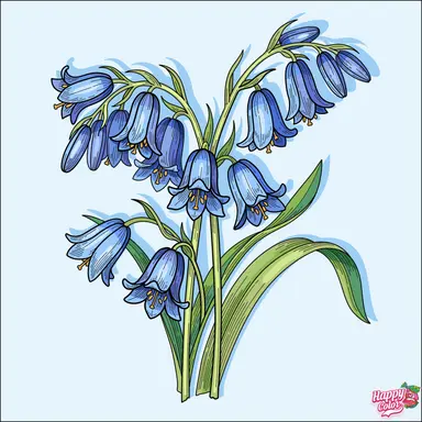 Profile image of 벨키