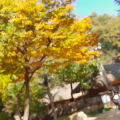 Profile image of 반코츠