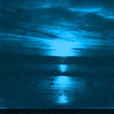 Profile image of 파크모