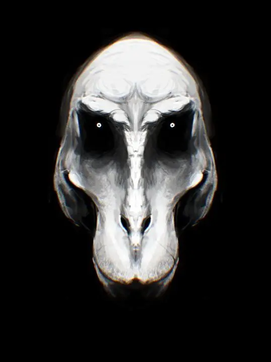 AbleTank2995의 FPE 공룡섬의 생존 AU