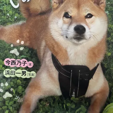 Profile image of 未来