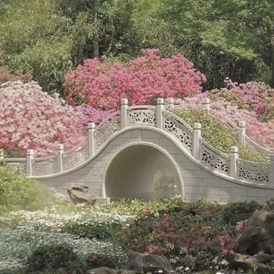 Profile image of 인유소