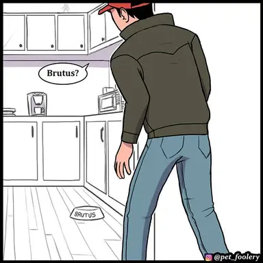 Profile image of 주인