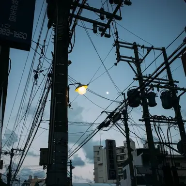 Profile image of 신혜연