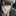 박도윤