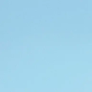 Profile image of 狗巻棘