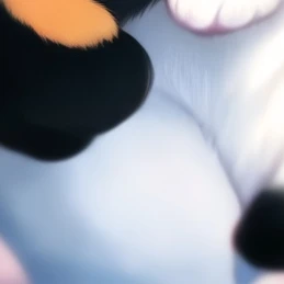 토도로키 가