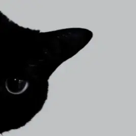 Profile image of 照