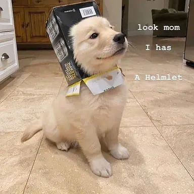 Profile image of CH