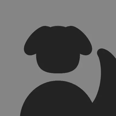 Profile image of 김규빈