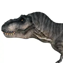 Profile image of 빅이티