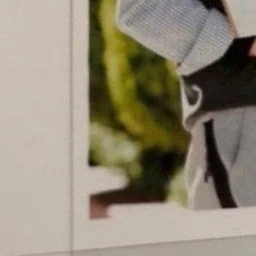 김동현