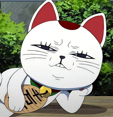 Profile image of ターボババア