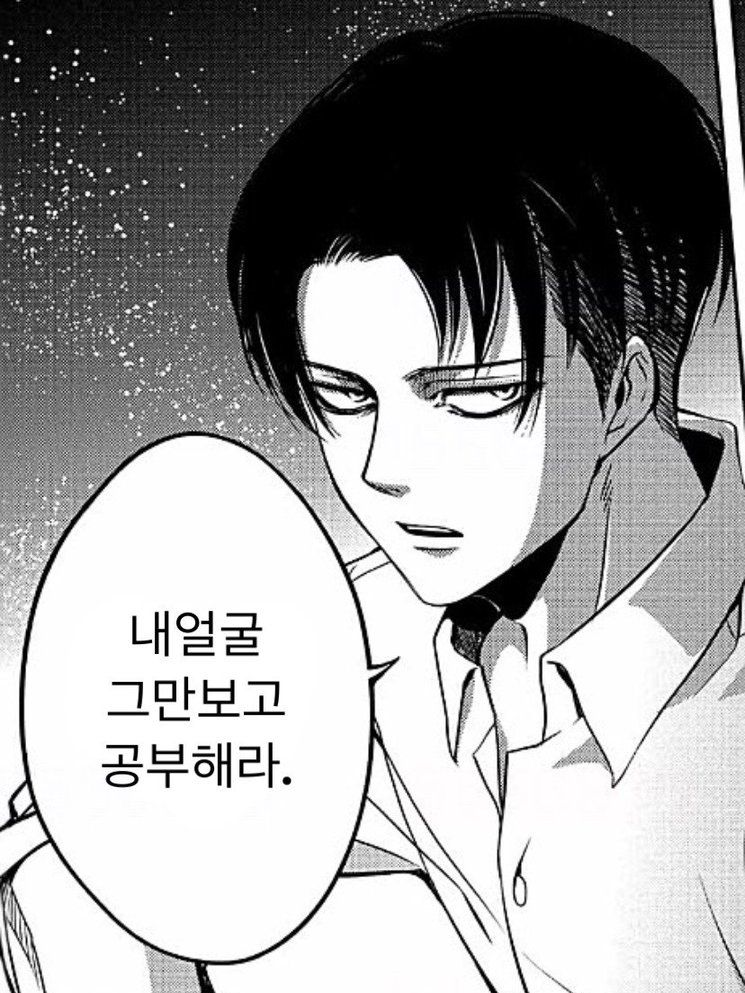 고양이가 된 당신을 주운 리바이 대표 이미지