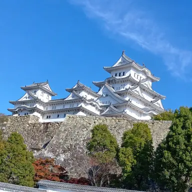 Profile image of 仙蔵