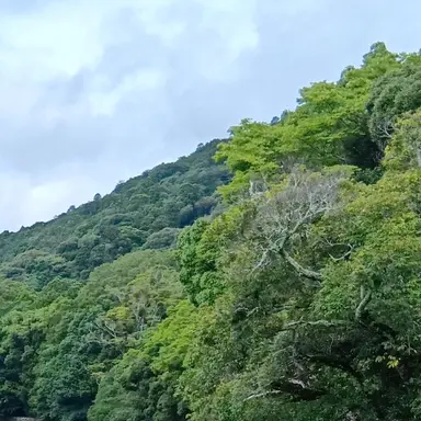 Profile image of 留三郎