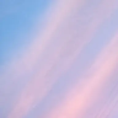 Profile image of 伊作