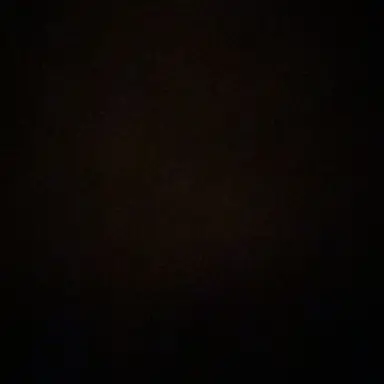 Profile image of 한동민