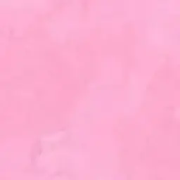 Profile image of 私
