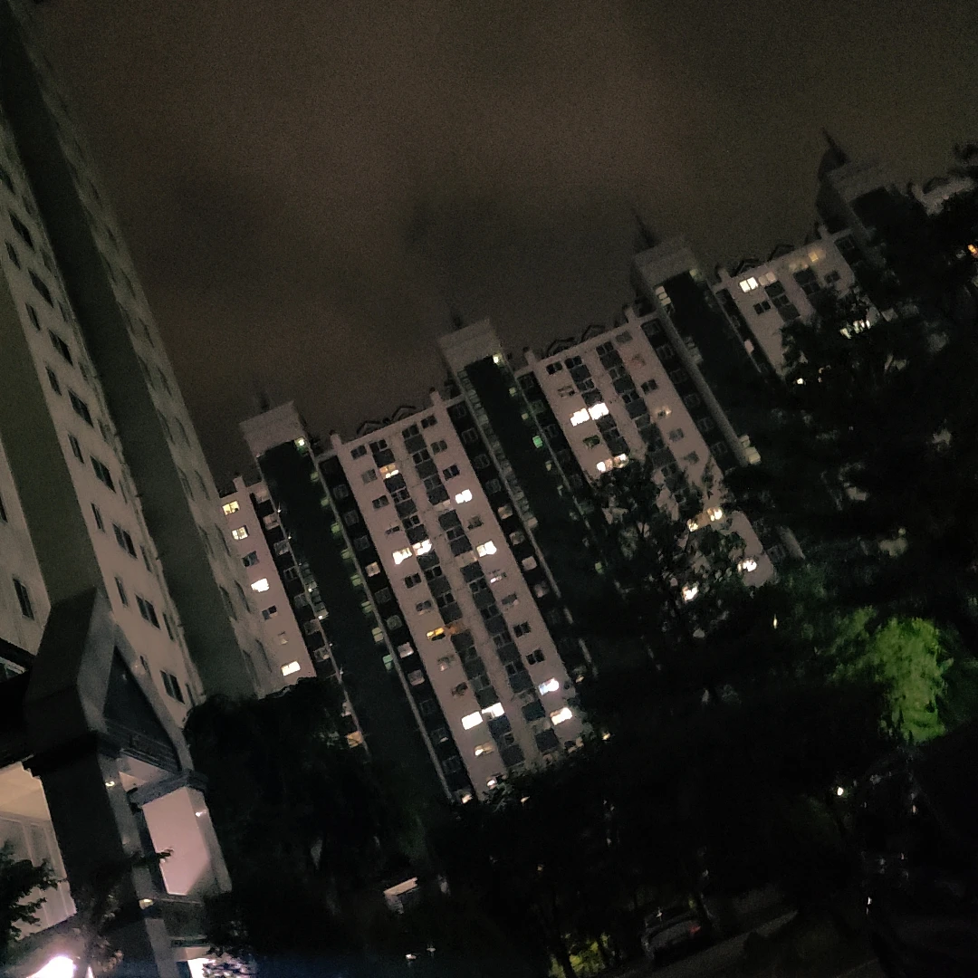 신도하
