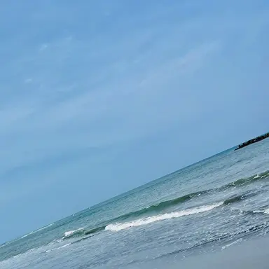 Profile image of 荼毘