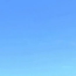青島くん